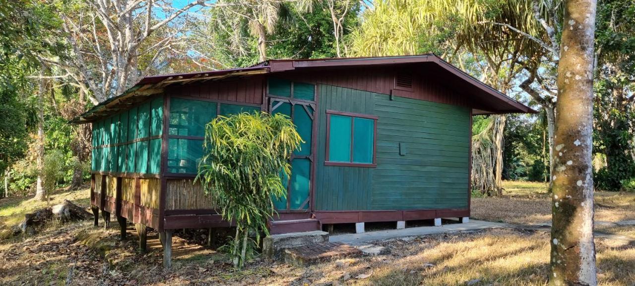 Hotel Veragua River House Sierpe Exterior foto