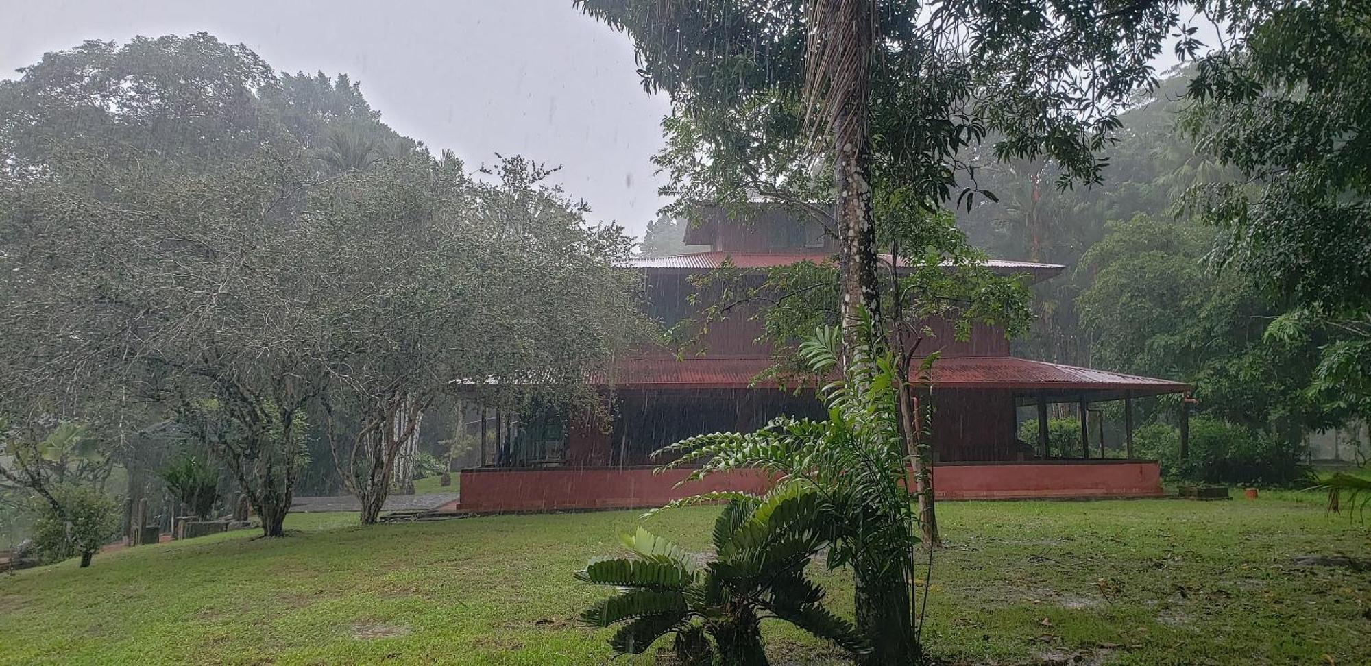 Hotel Veragua River House Sierpe Exterior foto