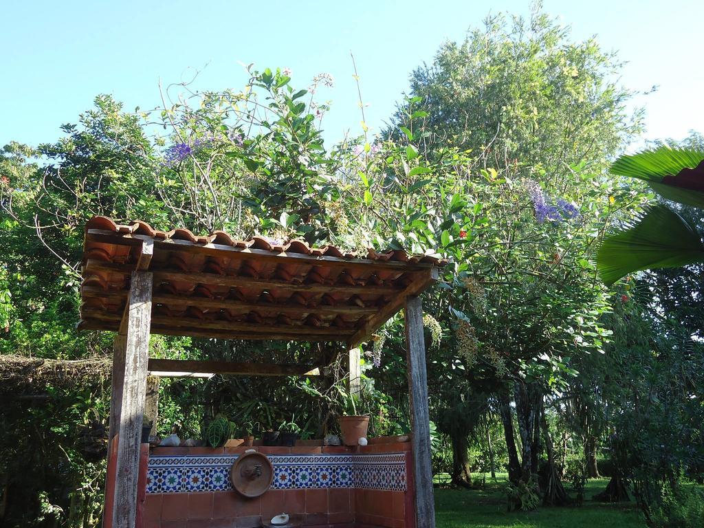 Hotel Veragua River House Sierpe Exterior foto