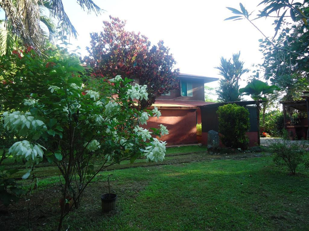 Hotel Veragua River House Sierpe Exterior foto