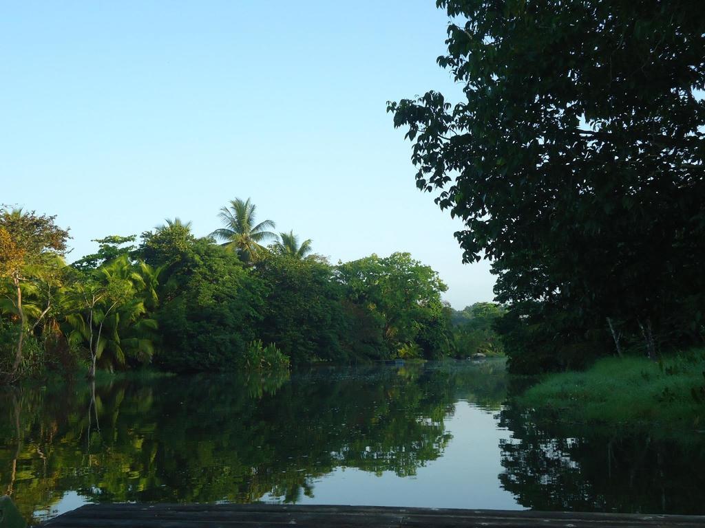 Hotel Veragua River House Sierpe Exterior foto